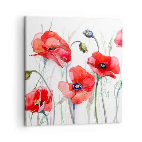 Obraz na plátne - Poľské kvety - 50x50 cm