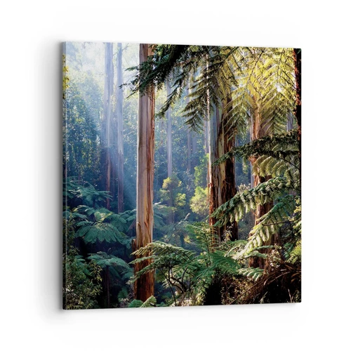 Obraz na plátne - Poviedka lesa - 70x70 cm