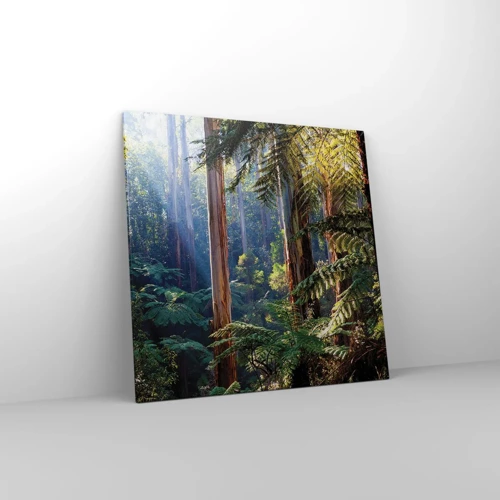 Obraz na plátne - Poviedka lesa - 70x70 cm