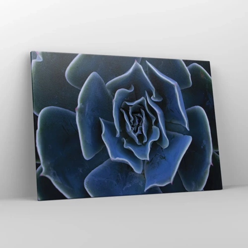 Obraz na plátne - Púštny kvet - 100x70 cm