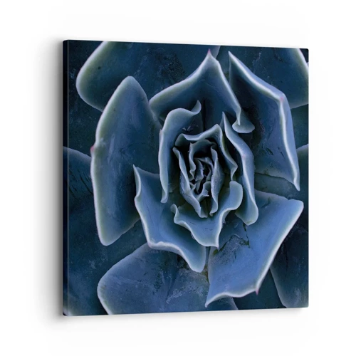 Obraz na plátne - Púštny kvet - 30x30 cm