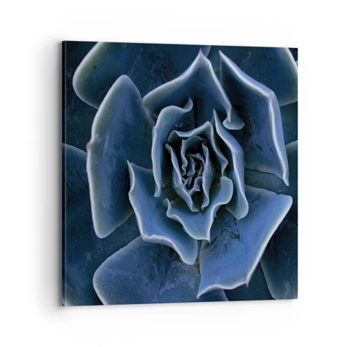 Obraz na plátne - Púštny kvet - 70x70 cm