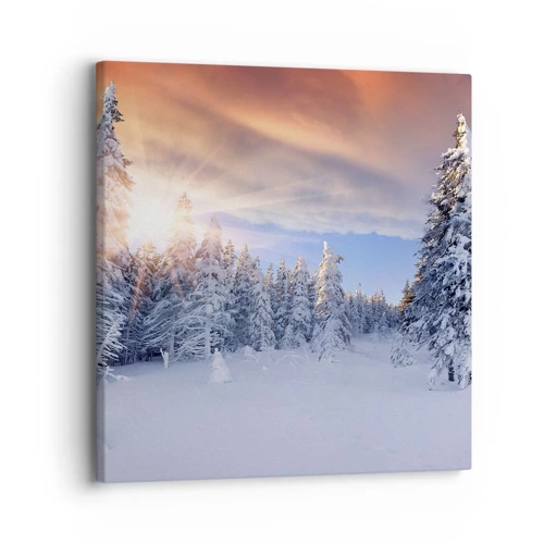 Obraz na plátne - Snežné predstavenie prírody - 30x30 cm