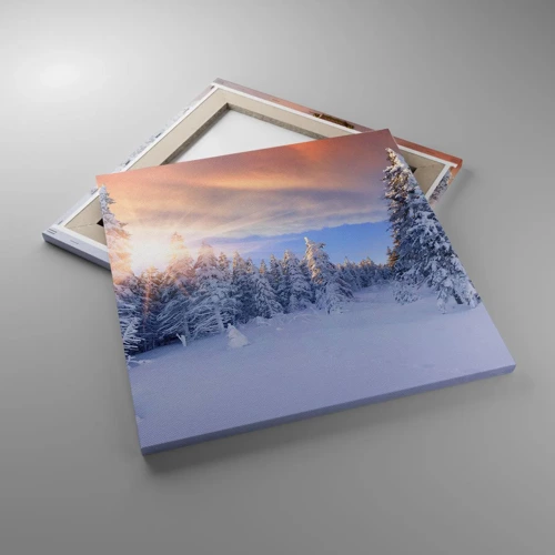 Obraz na plátne - Snežné predstavenie prírody - 50x50 cm