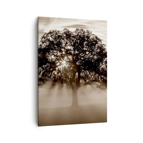 Obraz na plátne - Strom správ samotného dobra - 50x70 cm