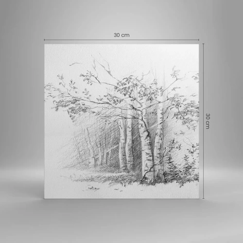 Obraz na plátne - Svetlo brezového lesa - 30x30 cm