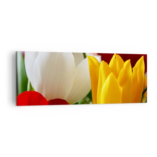 Obraz na plátne - Tulipánová horúčka - 140x50 cm