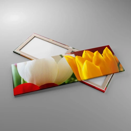 Obraz na plátne - Tulipánová horúčka - 140x50 cm