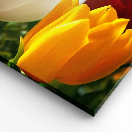 Obraz na plátne - Tulipánová horúčka - 55x100 cm