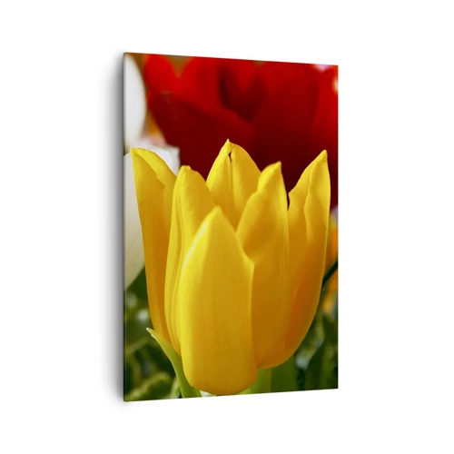 Obraz na plátne - Tulipánová horúčka - 70x100 cm