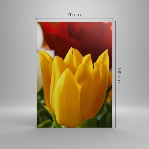 Obraz na plátne - Tulipánová horúčka - 70x100 cm