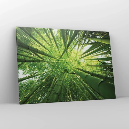 Obraz na plátne - V bambusovom háji - 100x70 cm