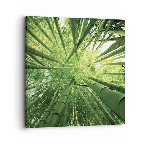 Obraz na plátne - V bambusovom háji - 30x30 cm