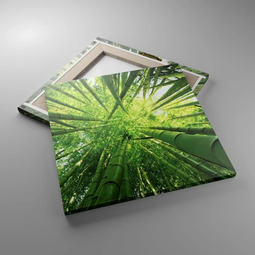 Obraz na plátne - V bambusovom háji - 40x40 cm
