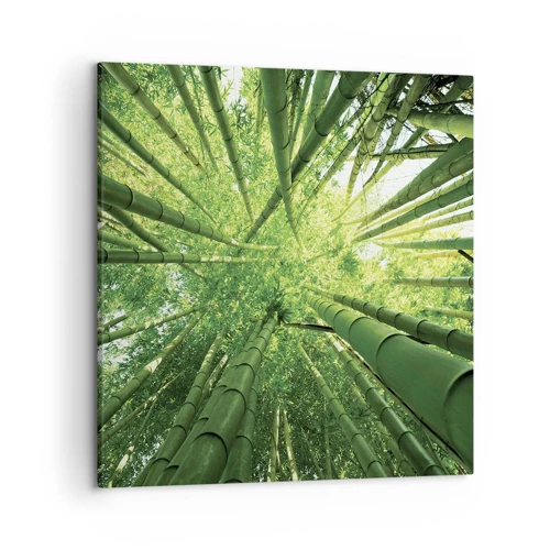 Obraz na plátne - V bambusovom háji - 50x50 cm