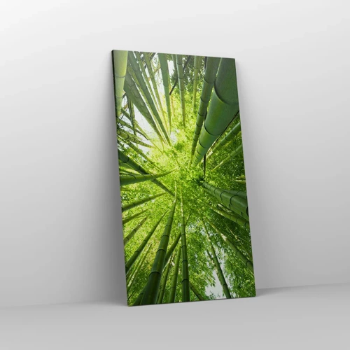 Obraz na plátne - V bambusovom háji - 55x100 cm