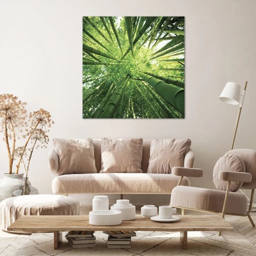 Obraz na plátne - V bambusovom háji - 60x60 cm
