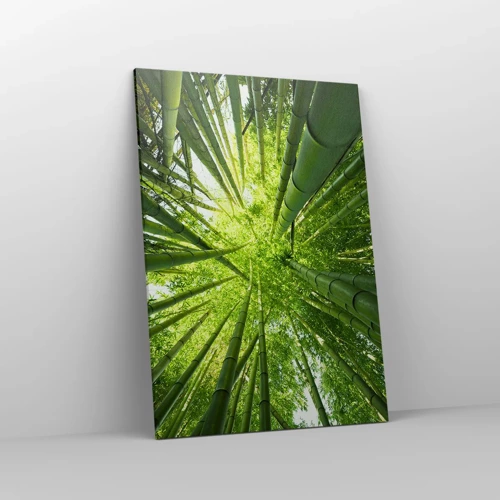 Obraz na plátne - V bambusovom háji - 70x100 cm