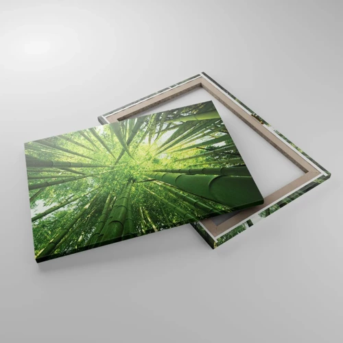 Obraz na plátne - V bambusovom háji - 70x50 cm