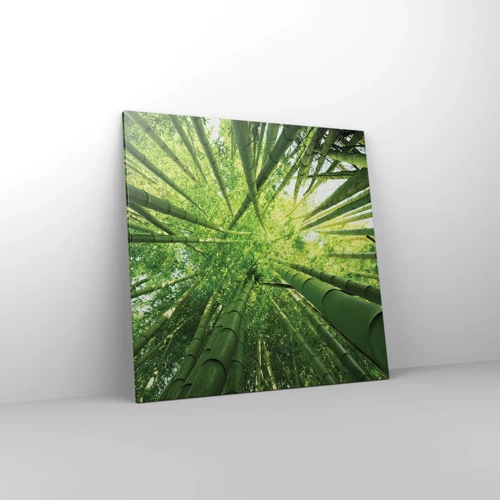 Obraz na plátne - V bambusovom háji - 70x70 cm