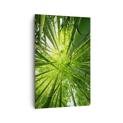 Obraz na plátne - V bambusovom háji - 80x120 cm