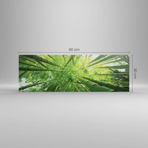 Obraz na plátne - V bambusovom háji - 90x30 cm