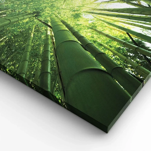 Obraz na plátne - V bambusovom háji - 90x30 cm