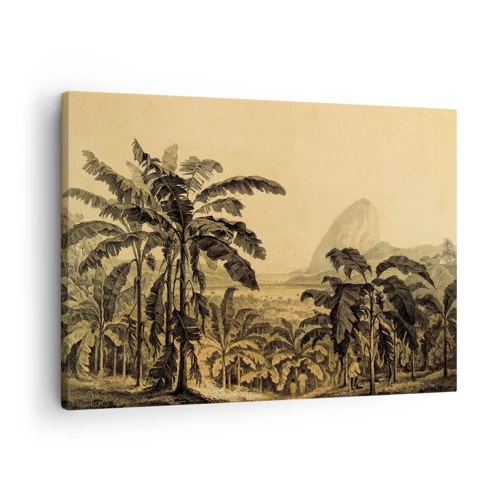 Obraz na plátne - V koloniálnom štýle - 70x50 cm