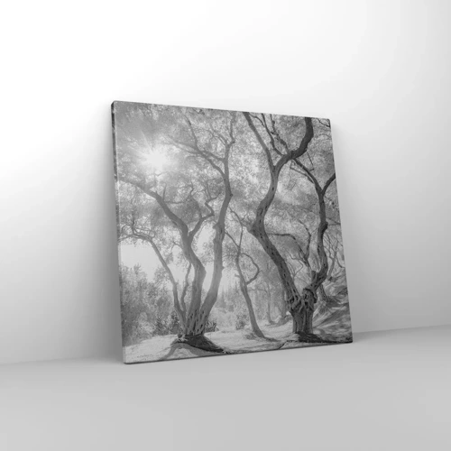 Obraz na plátne - V olivovom háji - 40x40 cm