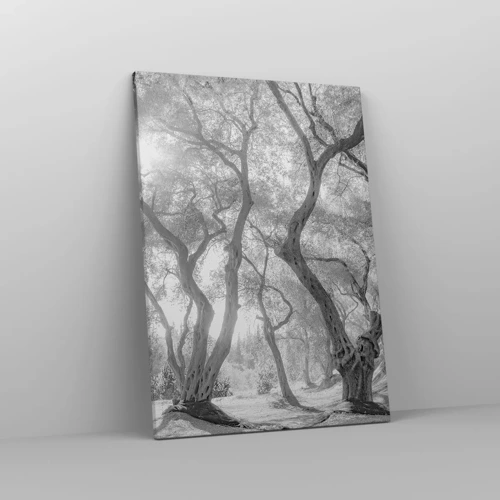 Obraz na plátne - V olivovom háji - 50x70 cm
