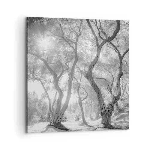 Obraz na plátne - V olivovom háji - 60x60 cm