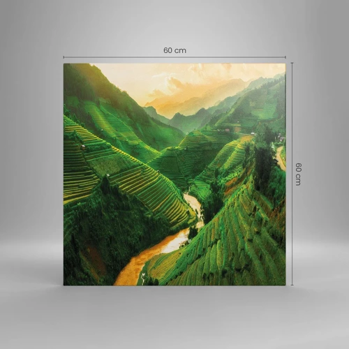 Obraz na plátne - Vietnamské údolie - 60x60 cm
