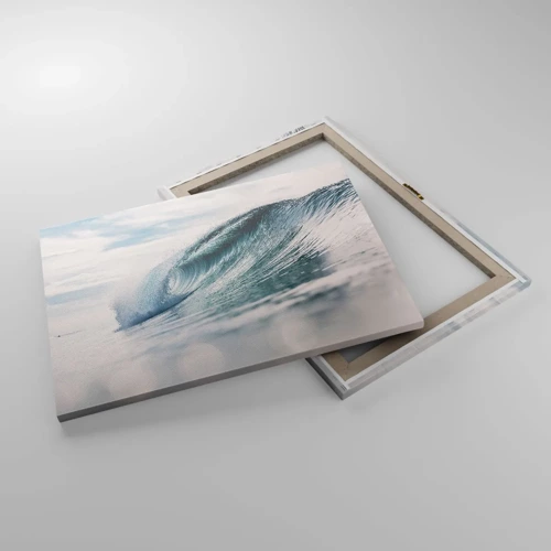 Obraz na plátne - Vodná špička - 70x50 cm