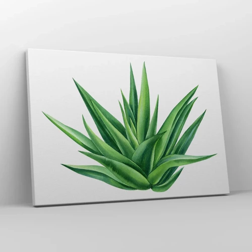 Obraz na plátne - Zelená – sila – život - 70x50 cm