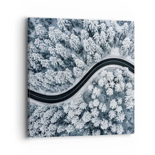 Obraz na plátne - Zimným lesom - 40x40 cm