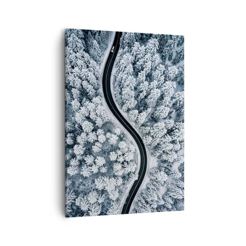 Obraz na plátne - Zimným lesom - 50x70 cm