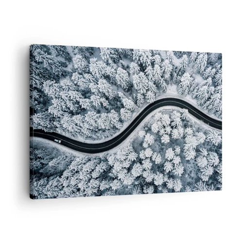 Obraz na plátne - Zimným lesom - 70x50 cm
