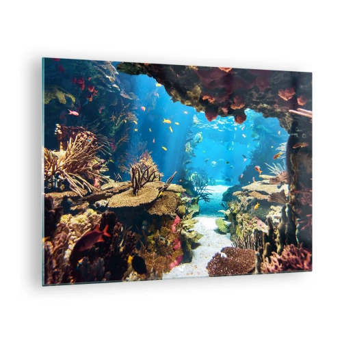 Obraz na skle Arttor 70x50 cm - Ani vo sne ťa to nenapadlo - Koralový Útes, Podmorský Svet, Ryby, Skaly, Stingray, Do obývacej izby, Do spálne, Modrá, Hnedá, Vodorovné, Sklo, GAA70x50-2872