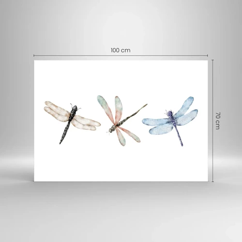 Obraz na skle - Beztiažové vážky - 100x70 cm