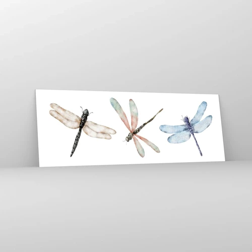 Obraz na skle - Beztiažové vážky - 140x50 cm
