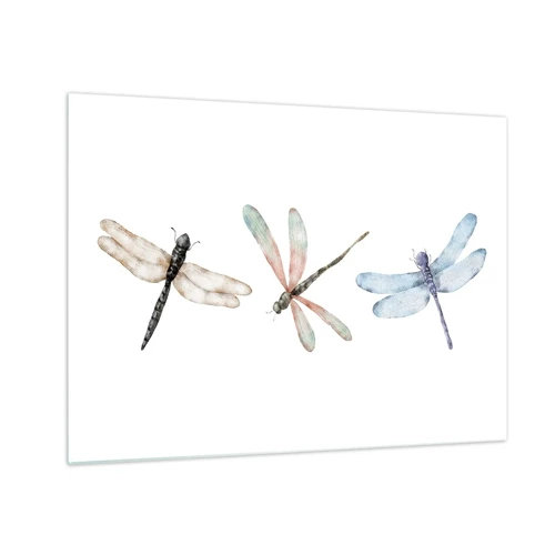 Obraz na skle - Beztiažové vážky - 70x50 cm