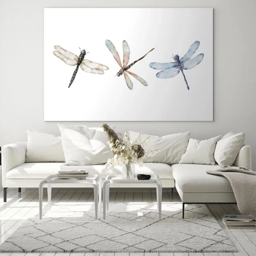 Obraz na skle - Beztiažové vážky - 70x50 cm