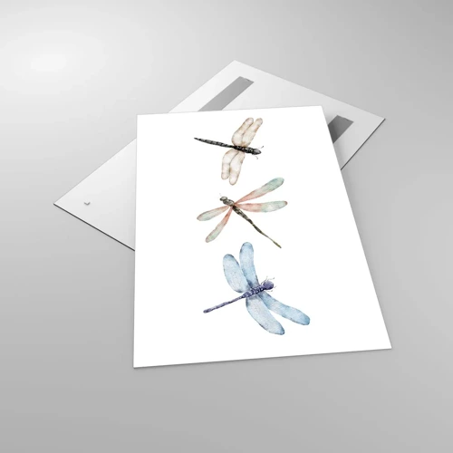 Obraz na skle - Beztiažové vážky - 80x120 cm