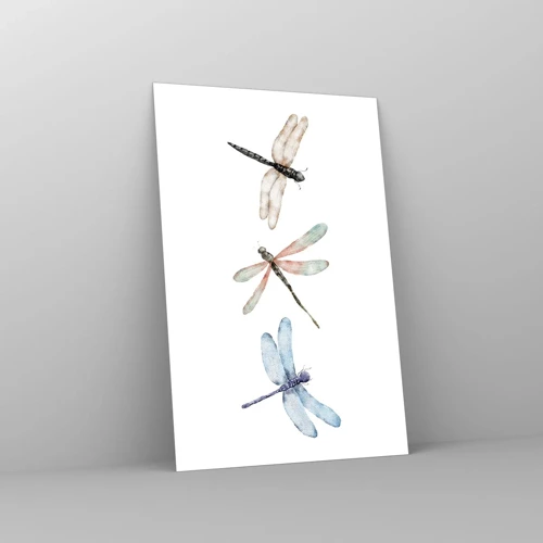 Obraz na skle - Beztiažové vážky - 80x120 cm