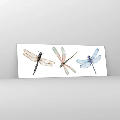 Obraz na skle - Beztiažové vážky - 90x30 cm