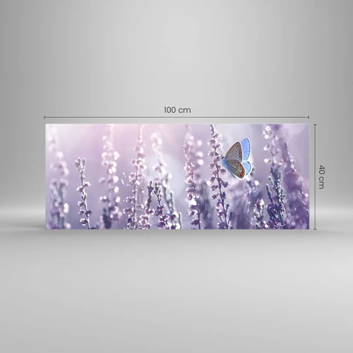 Obraz na skle - Bozk motýľa - 100x40 cm