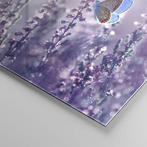 Obraz na skle - Bozk motýľa - 120x80 cm