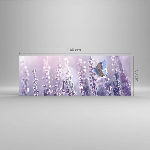 Obraz na skle - Bozk motýľa - 140x50 cm