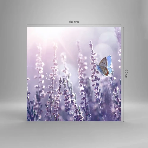 Obraz na skle - Bozk motýľa - 60x60 cm