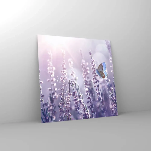 Obraz na skle - Bozk motýľa - 70x70 cm